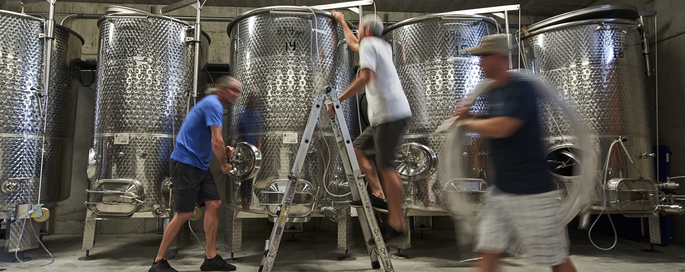 Mark, Cody and Ed working in the barrel room at Wild Sun Winery and Brewery