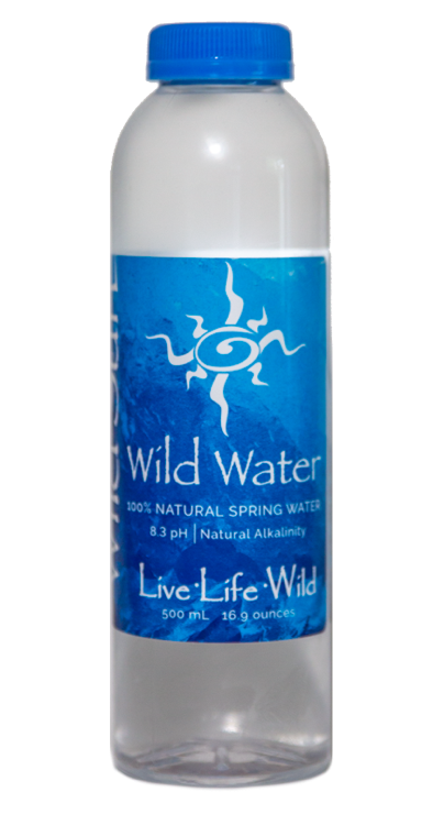 Wild Sun Water bottle